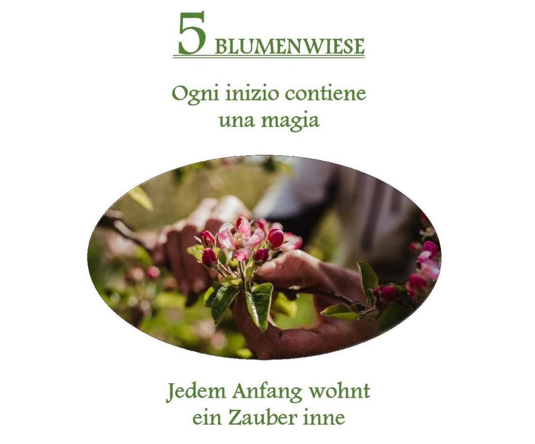 Ferienwohnungen Kaltenbachhof - Urlaub Auf Dem Biobauernhof パルチーネス エクステリア 写真